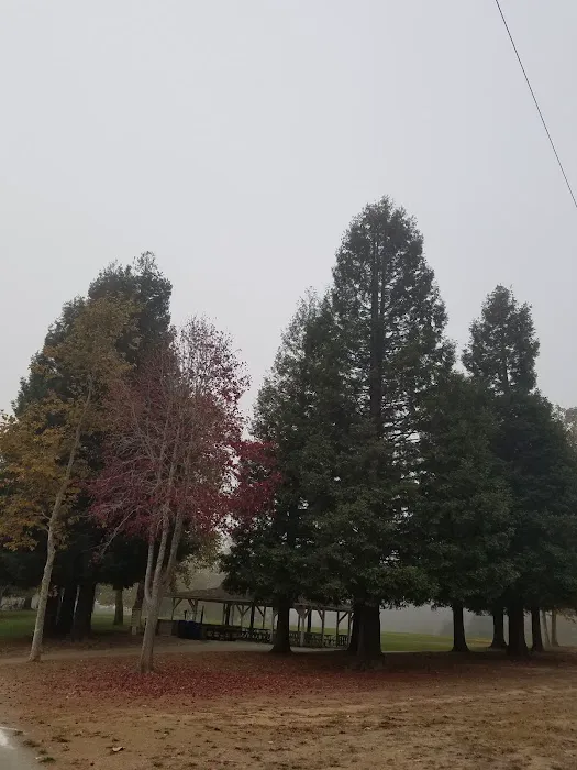 Pinto Lake Mobile Estates Picture 8