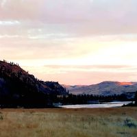 Whistlin' Pine Ranch ico