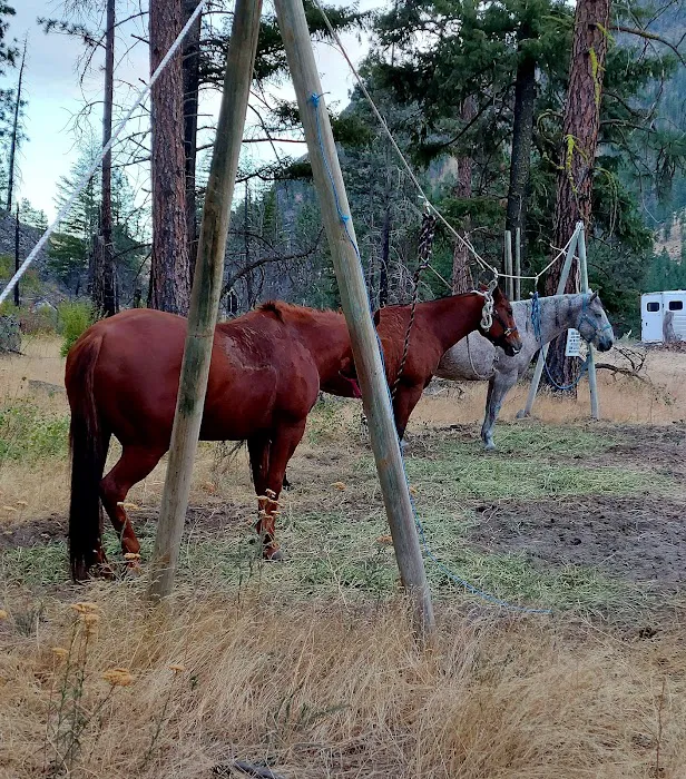 Whistlin' Pine Ranch Picture 8