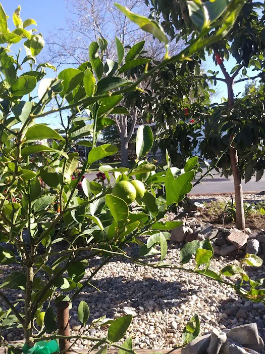 Orland estates Picture 1