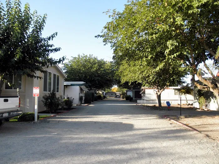 Black Butte Mobile Home Park Picture 4