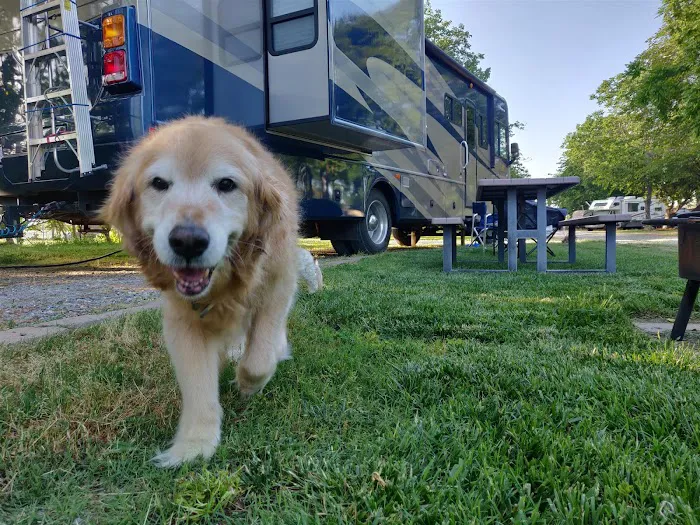 The Parkway RV Resort & Campground Picture 6