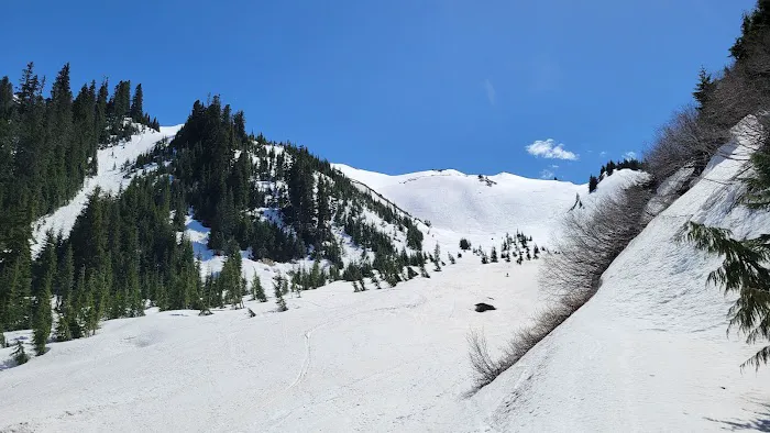 Coleman Glacier Climbing Route Picture 8