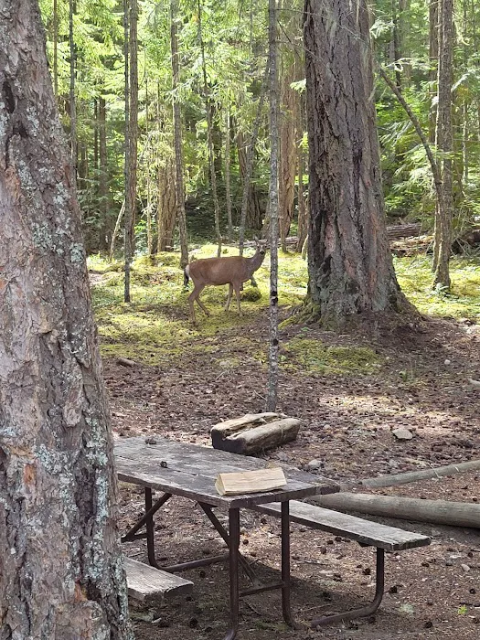 McMillan Campground Picture 5