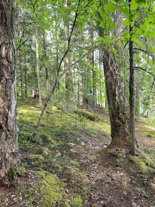 McMillan Campground Picture 10
