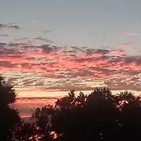 River Reflections RV Resort & Campground ico
