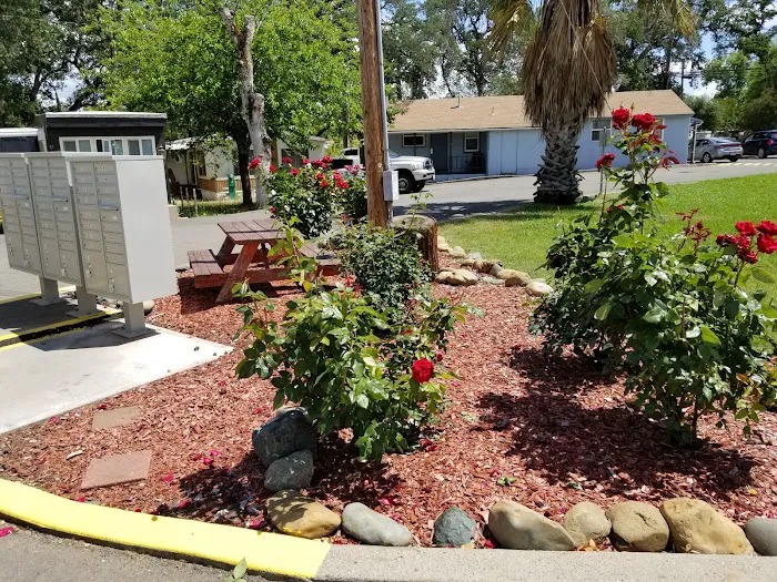 Sundown Estates (New Homes & RV Spaces Available) Picture 7