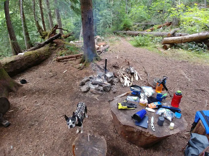 May Creek Campground Picture 8