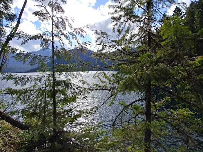 May Creek Campground Picture 7