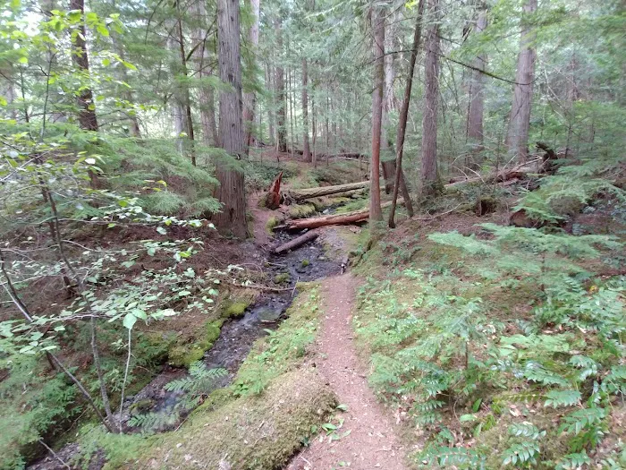 May Creek Campground Picture 5