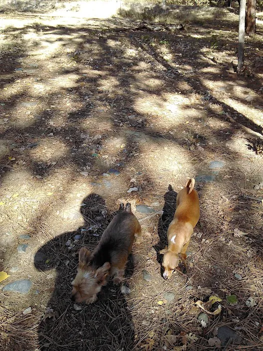Golden Feather Mobile Home Park Picture 2