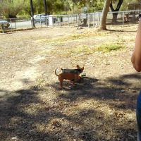Golden Feather Mobile Home Park ico