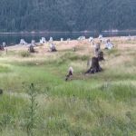 Rainbow Point Campground