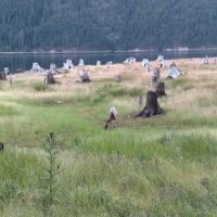 Rainbow Point Campground ico