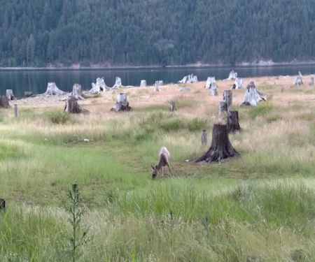 Rainbow Point Campground