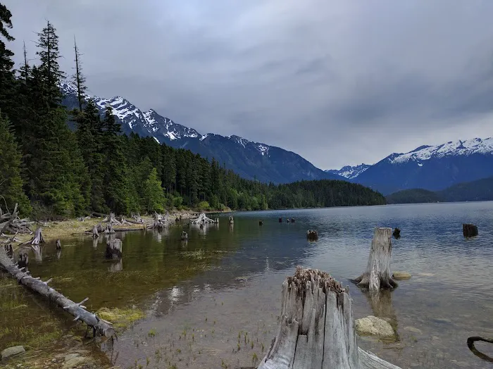 Rainbow Point Campground Picture 4