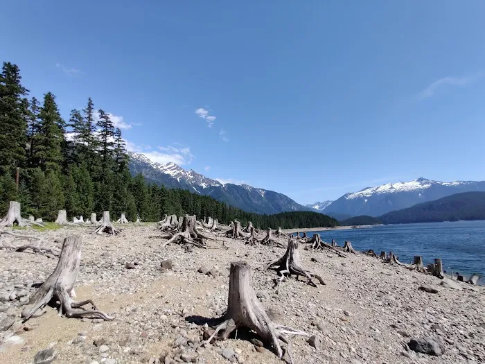 Rainbow Point Campground Picture 7