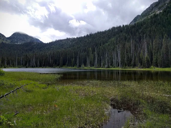 Dagger Lake Campground Picture 9
