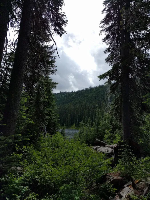 Dagger Lake Campground Picture 7