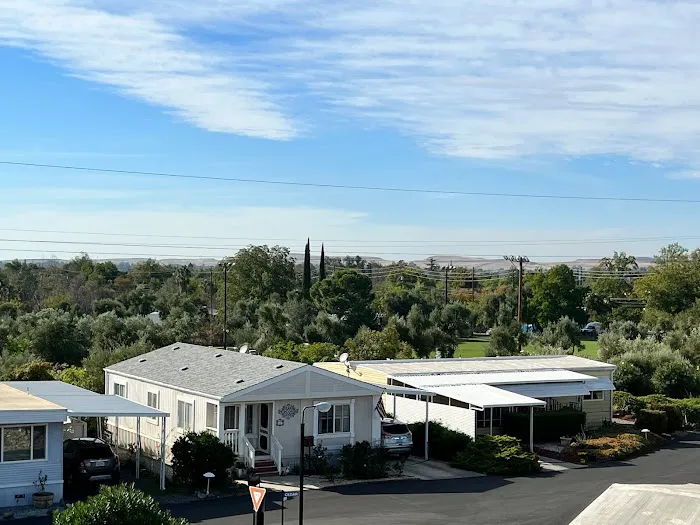 Olive Hill 55+ Manufactured Home Community Picture 5