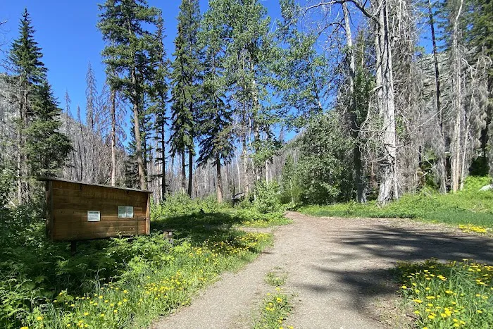 Roads End Campground Picture 7