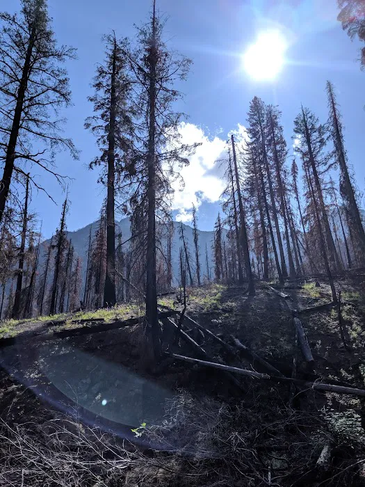 Roads End Campground Picture 5