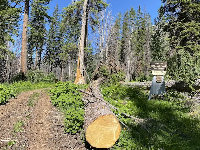 Roads End Campground Picture 10