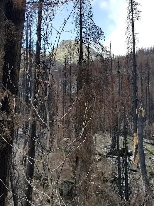 Roads End Campground Picture 9