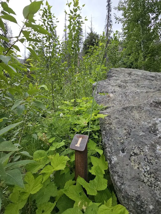 Roads End Campground Picture 1