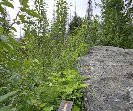 Roads End Campground