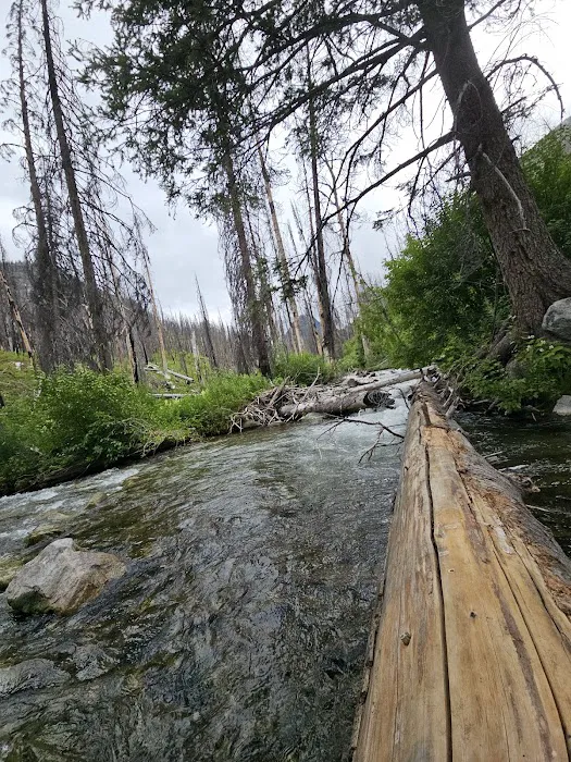 Roads End Campground Picture 2