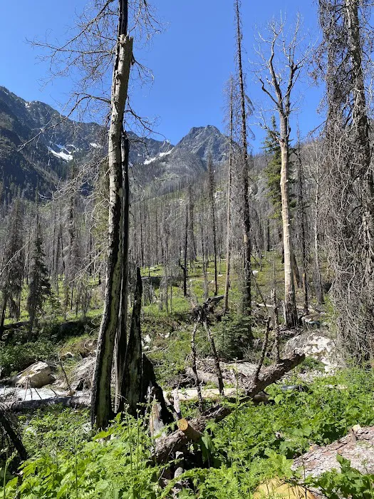 Roads End Campground Picture 8