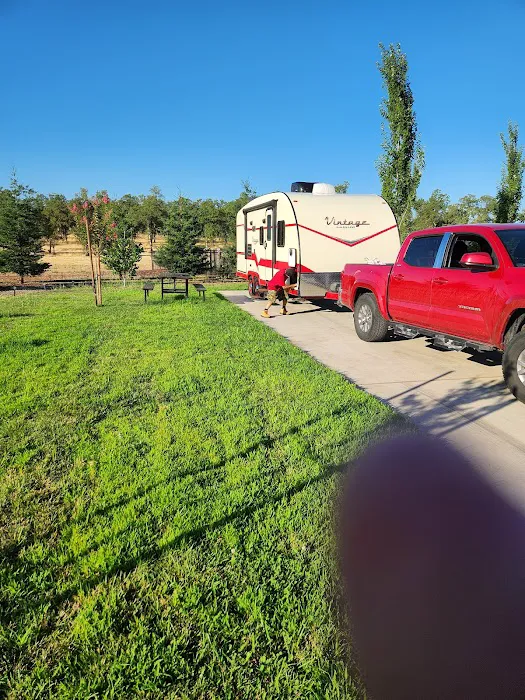 Gold Country Casino RV Park Picture 5