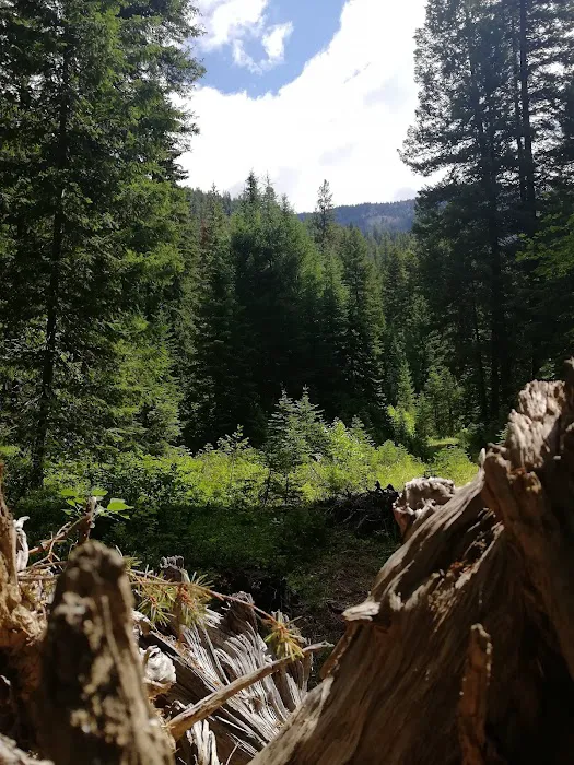 Poplar Flat Campground Picture 5