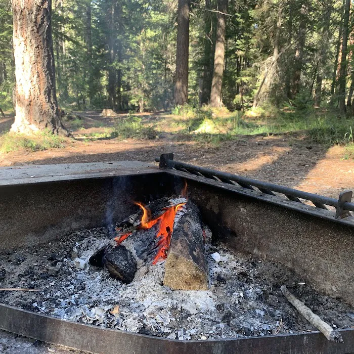 Poplar Flat Campground Picture 7