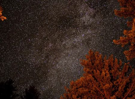 Poplar Flat Campground