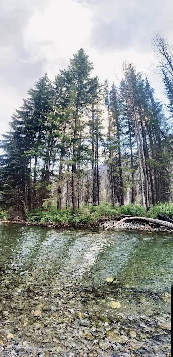 Poplar Flat Campground Picture 3
