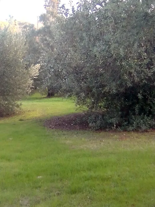 Orolake Mobile Home Park Picture 3