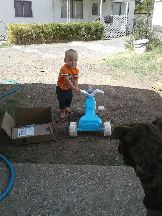Orolake Mobile Home Park Picture 2