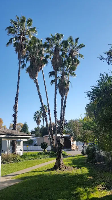 Bradshaw Mobile Home Park Picture 7