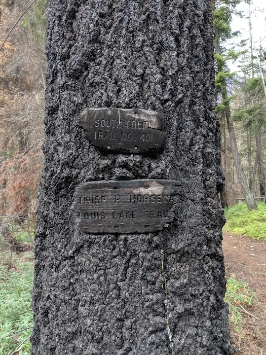 South Creek Campground Picture 7