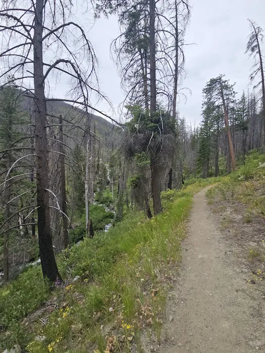 South Creek Campground Picture 2