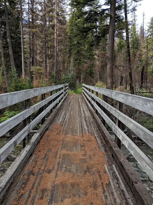 South Creek Campground Picture 5