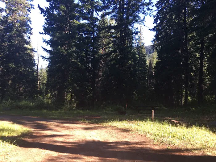 South Creek Campground Picture 4