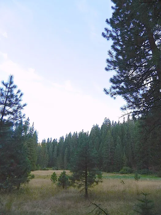Deanes Valley Campground Picture 3