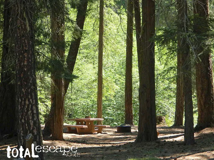 Rock Creek Campground Picture 7