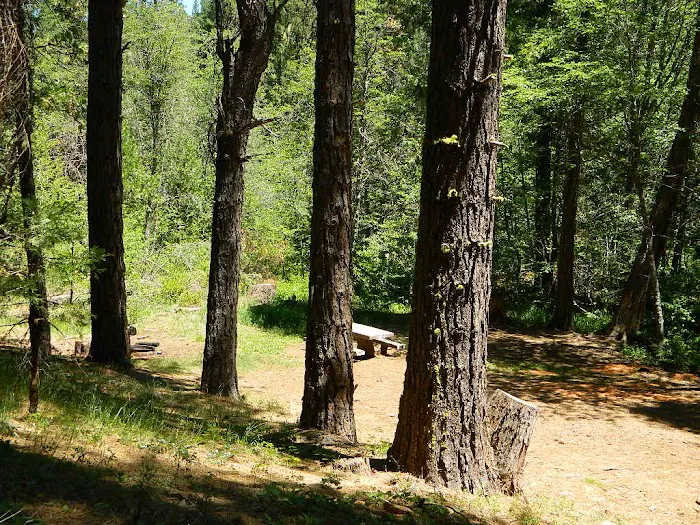 Rock Creek Campground Picture 2
