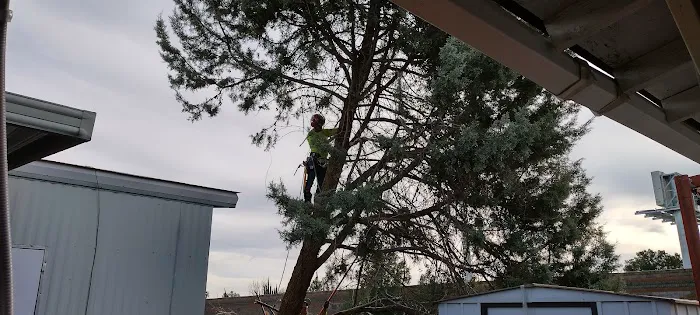 Centennial Estates Picture 1