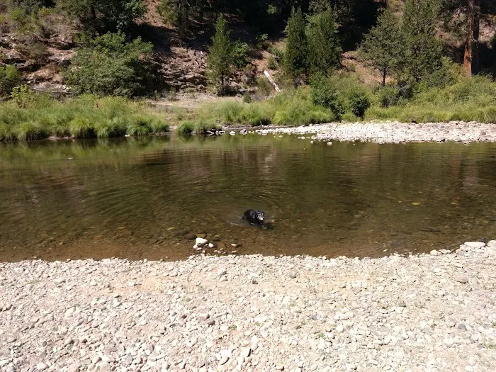 Redbridge Campground Picture 9