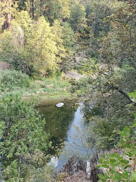Redbridge Campground Picture 7